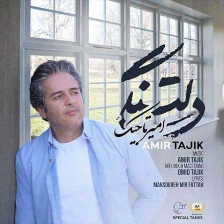 دانلود آهنگ امیر تاجیک دلتنگی